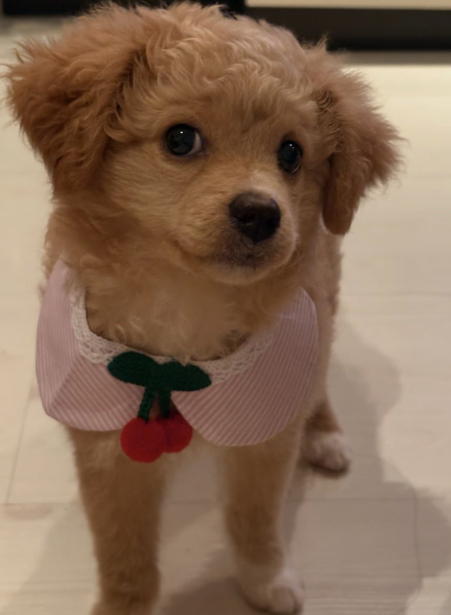 twaniimals's tweet photo. https://t.co/IIVYoUs5Dd