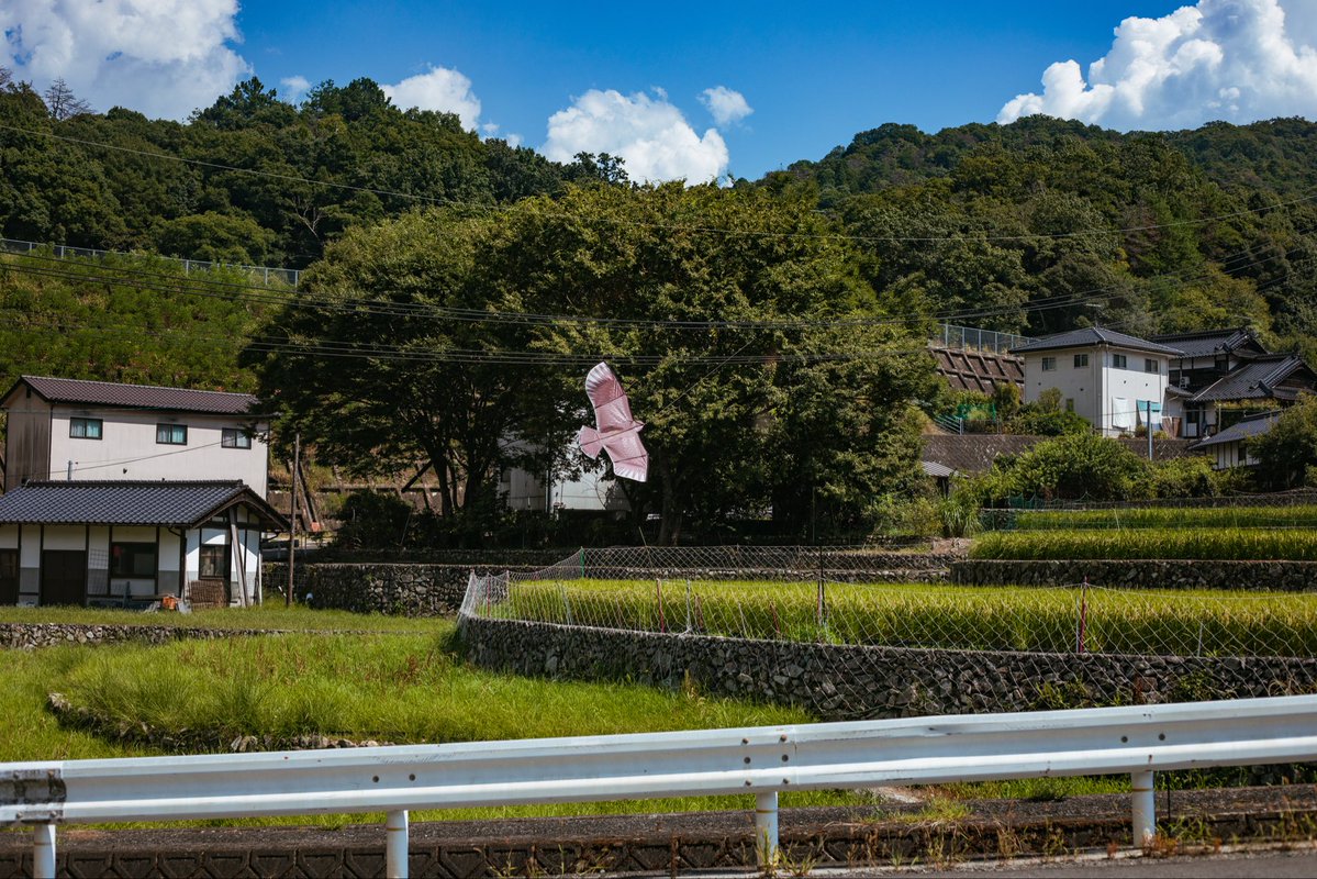 twin_troussier's tweet photo. 田園風景
Camera:Canon EOS 5D mark Ⅳ
Lens:EF50㎜ F1.8 STM
#snap
#キリトリセカイ https://t.co/Wa5GVeI2jr