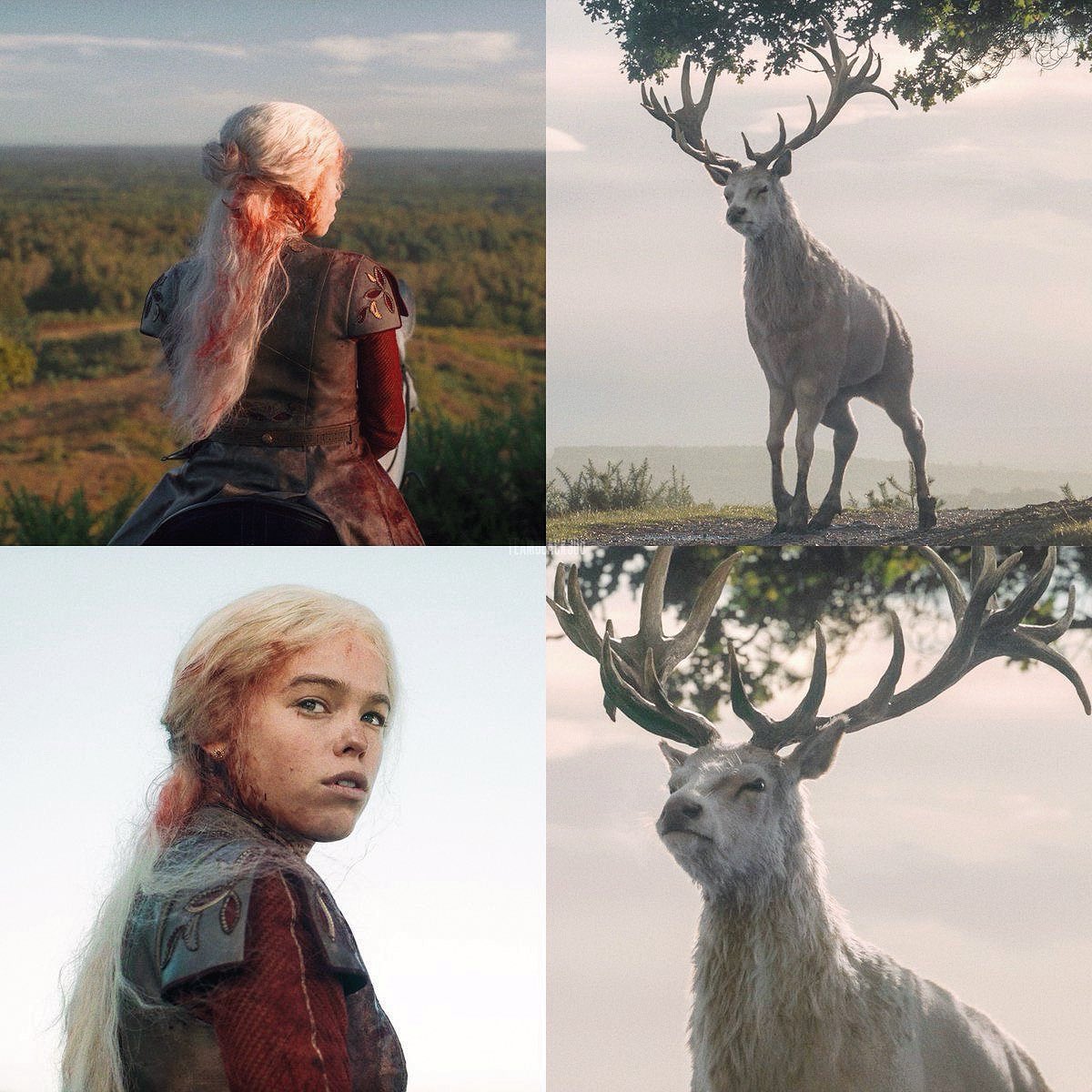 rvgsdelight's tweet photo. when viserys’s political party was desperately searching for the white stag to validate aegon’s claim and yet failed, just for it to show itself in front of rhaenyra. she was chosen by the gods, by the king and by the people. https://t.co/1RJ7SMchDG