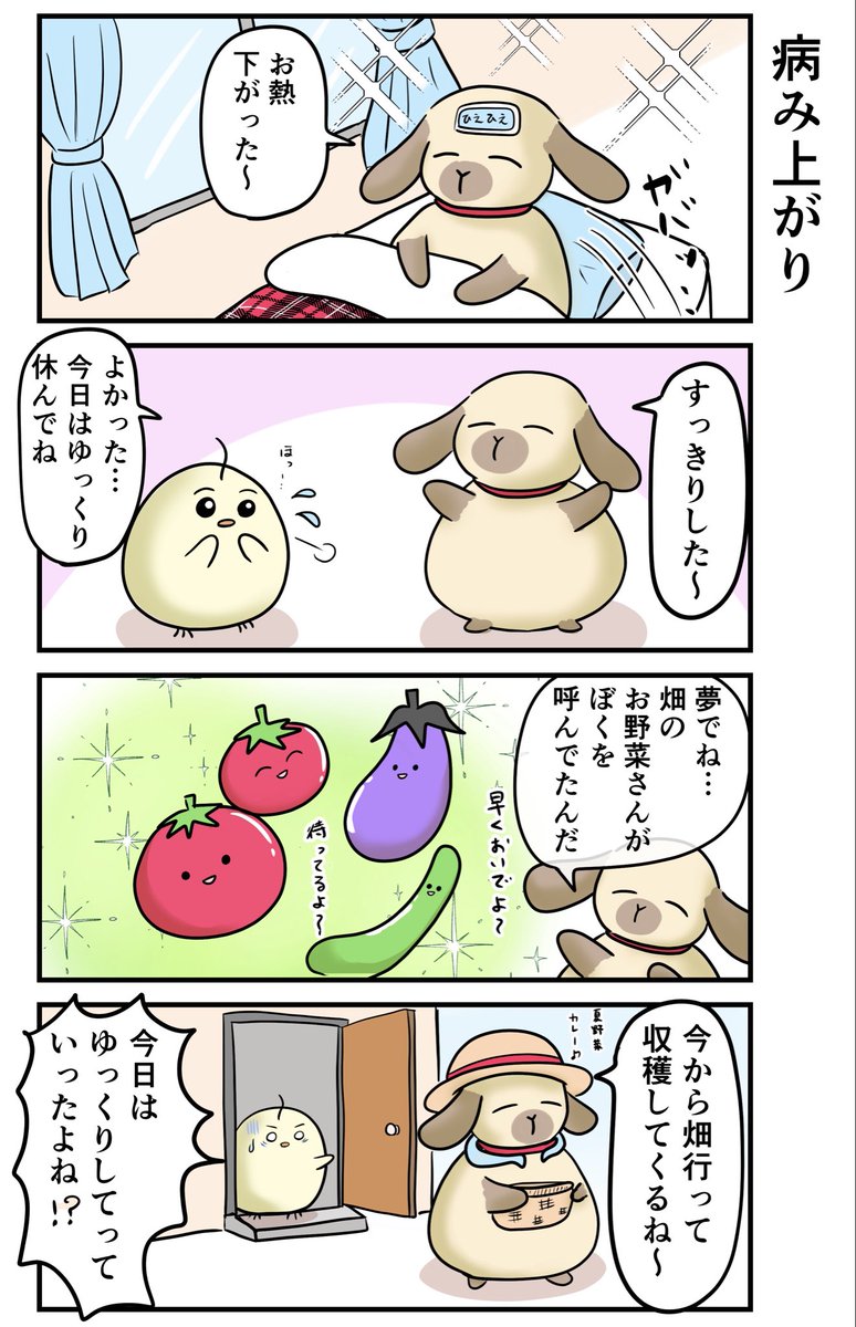 とらじろう (@torazirou7) / Posts / X