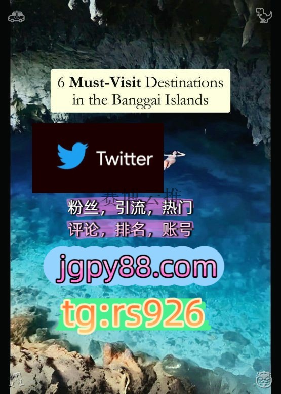 Eripcp3e's tweet photo. Become wiser with each passing day.
海外流量、品牌推广、社媒营销推广外🦡facebook评论截流🎉股票代码🌟辅助工具🔥品牌增长👍
推特软件推特账号关键词霸屏🧳熱門🌈权重号🌟推特老号🍄定時發推💐绍兴
推特账号粉丝号围466417软件获客、海外推广、流量增长
点赞号拉萨代发温州   😏客.服看→资. https://t.co/CDKxoPLZQ4