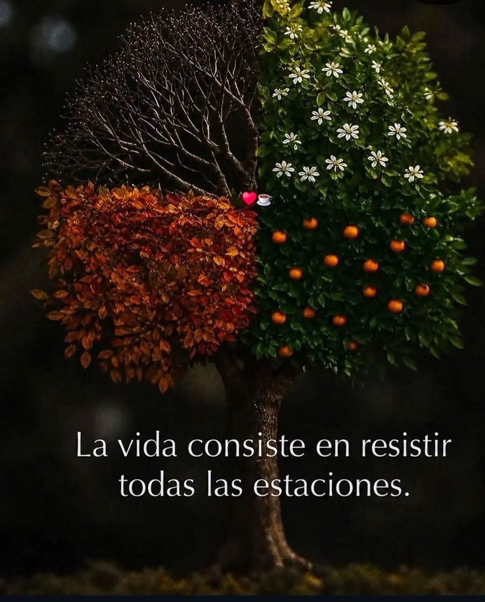 Lizyzttiiee03's tweet photo. https://t.co/kMavoRr2AZ