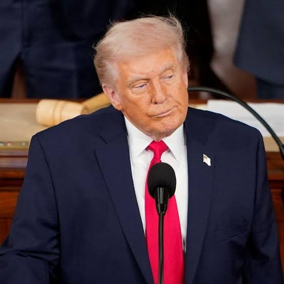JFreiress_'s tweet photo. "Trump: 'Nos taxamos em 25% os produtos brasileiros porque nós compramos mais deles do que eles compram da gente, e isso precisa ficar equilibrado".

​Gavin Newsom: "Essas tarifas contra o Brasil é uma piada, uma abominação. Ou melhor, as tarifas Bolsonaro, vamos apenas deixar claro o que elas são. O Trump é mentiroso, os Estados Unidos não compram mais que o Brasil, nós é que temos um superávit comercial com o Brasil".

​O governador da Califórnia é um dos poucos Democratas que não está baixando a cabeça para o Trump.

📰BBC