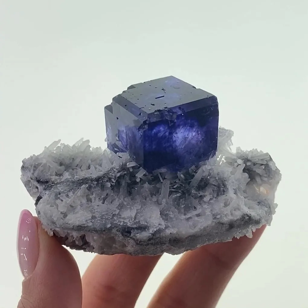 RockHoundRick's tweet photo. So this cube is out of Quanzhou, Fujian, and it belongs to a very specific window of Chinese fluorite mining, roughly 2017 to 2020, when that region was turning out fluorite in this deep saturated blue violet that collectors immediately started calling tanzanite fluorite. Nothing to do with tanzanite mineralogically, zoisite and fluorite aren't even in the same crystal system, it's purely a color nickname because the hue sits in that same narrow band the gem trade made famous out of Tanzania, that blue that shifts toward violet depending on the light hitting it. Cubic habit though, obviously, isometric all the way, and you can see the bevelled edges on this one, which is part of what gives it that crisp, almost cut-gem look instead of a soft rounded cube.

What gets me about this piece specifically is the presentation. Most of what came out of that Fujian pocket showed up either as a fluorite crystal parked on dull gray host rock, or as big massive clusters where you lose any sense of individual crystal geometry. This one is a single isolated cube standing upright on a bed of quartz needles, and that white on dark blue contrast does more for the specimen than size ever could. I'll take one clean crystal with real presence over a cluster any day.

Worth being straight that this piece has a little contract lab restoration, a back corner and a few small spots, invisible to the eye and only shows under UV. Doesn't bother me on something this old at this point, that pocket's been closed for years now and clean undamaged tanzanite fluorite on matrix like this is genuinely hard to find. Most of what circulates now is recycled from older dealer inventory rather than fresh material, which tells you the mine isn't giving up any more of this color.

Link in 🧵
