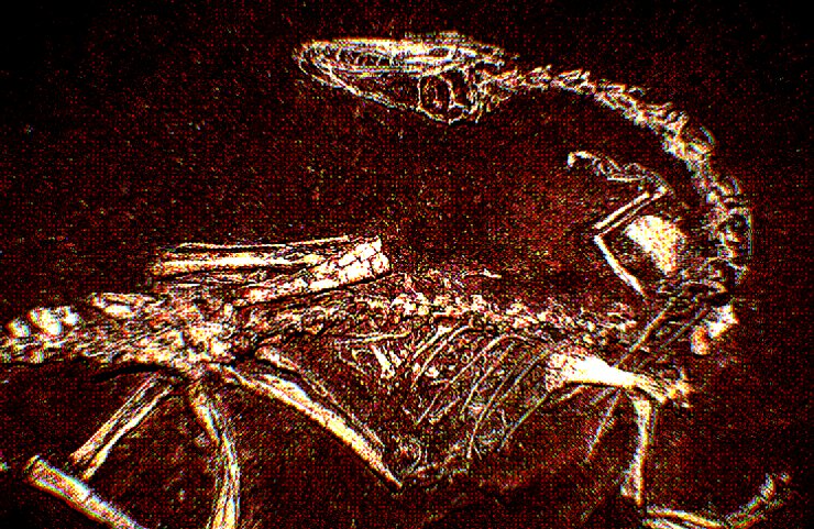 DINO_RAGDOLL's tweet photo. BON ES S.. eBONES bon e es YOU ARE Bo N e. Ss. S s. S we Are All BONE. s S BO n es BONE.S S BONE S BONES ! !!!!! ! :: )))) ) : https://t.co/fPdO0OlQjf