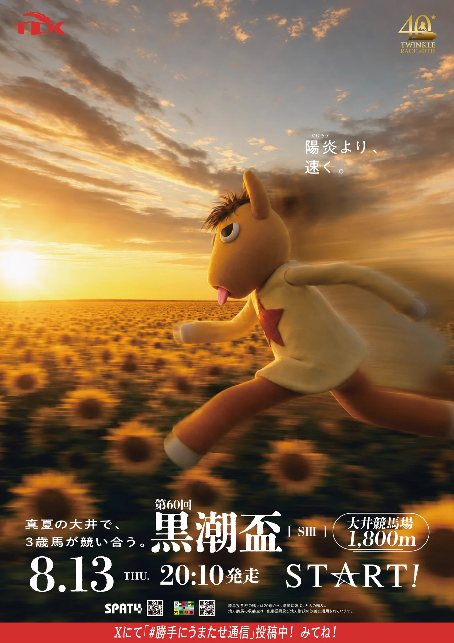 東京シティ競馬 (TCK) on X: 