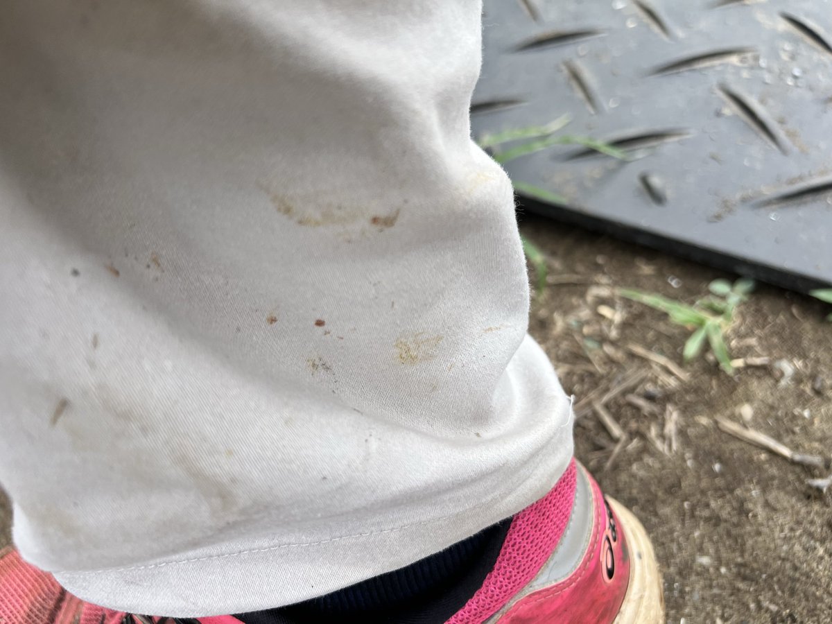 hiranonakajima's tweet photo. ズボンの裾についててちょっと潰してた〜🤮🤮🤮🤮🤮🤮🤮🤮🤮🤮🤮🤮🤮 https://t.co/gtiPzTHUNm