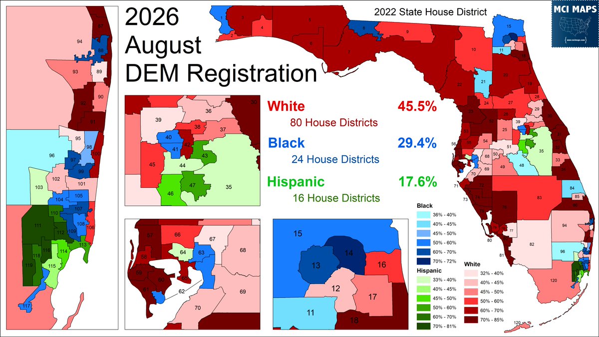 MappingFL's tweet photo. Aiming to have an article out Friday morning looking at the Florida Democratic Primaries for Senate and Governor
While David Jolly is near lock for #FLGOV - Angie Nixon is giving Alex Vindman a real fight
Preview: here is DEM registration by race & state house district #flapol https://t.co/cqyj0fOU6J