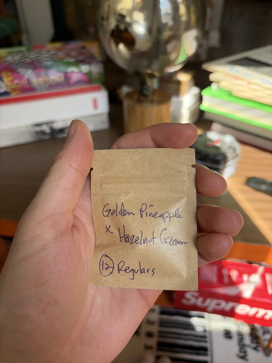 sloobtoob's tweet photo. Lil pack of seeds I got for the hashmaster while I was in Germany @HashMaster_Luke https://t.co/2qyKJIA1F9