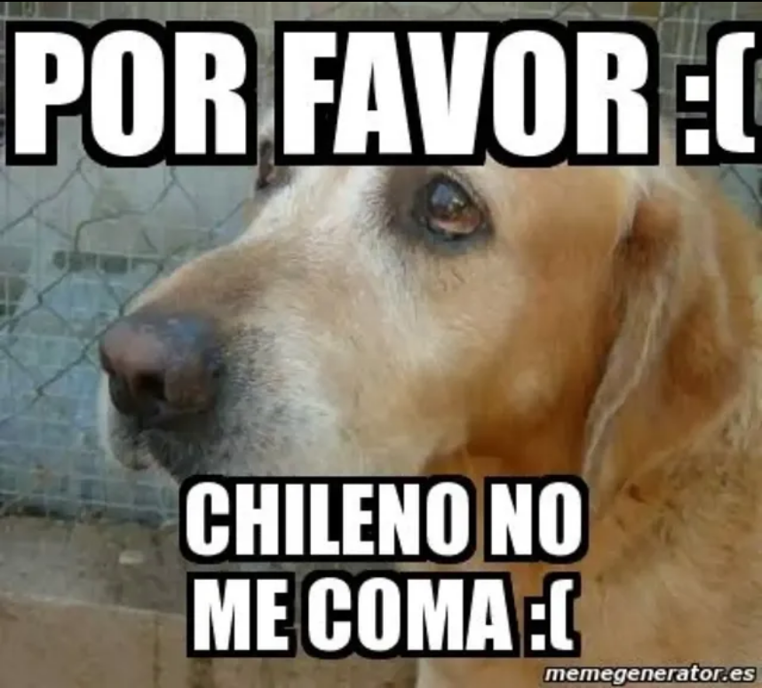 GullitDelBulla's tweet photo. https://t.co/WZDd0CPwgR