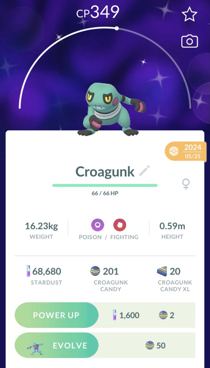 DH_Tigress's tweet photo. now that there's 150 of you does it mean you'll start responding to my tweets 🤨

testing this by asking about your favorite underrated shiny, mine is croagunk https://t.co/4hFUWb5Hty