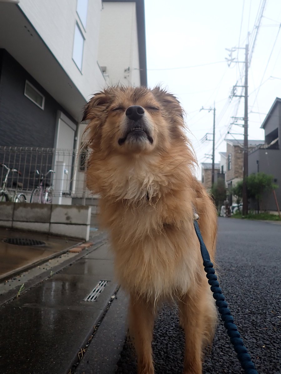 monaka_no_onaka's tweet photo. https://t.co/Ve6hsXIuUM