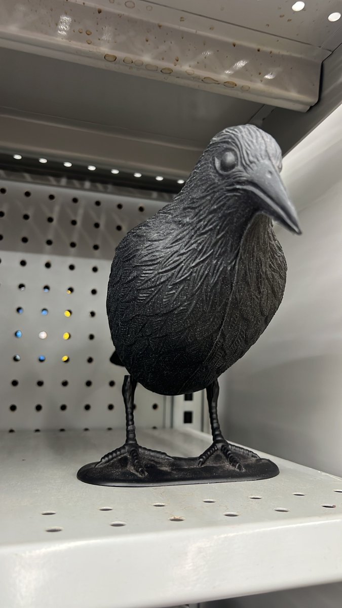 _Yuzuzzz_'s tweet photo. @Lariotos2 I'm scared, I see it every where... https://t.co/tyxHMV7IWz