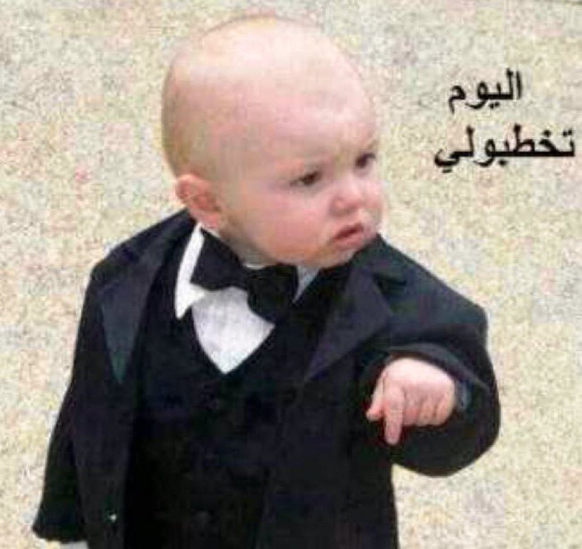 holyMoha's tweet photo. القطو حقكم اول ما يصير عمره ٨ شهور https://t.co/lIIDkP6z85