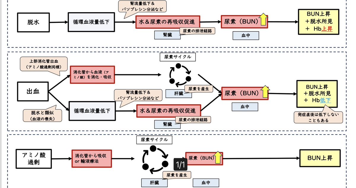 morito80460384's tweet photo. BUN上昇時に私が主に考えてる原因検索ポイントをまとめたスライドです😊

※昨日の研修会でこの関連質問があるも、時間切れだったので、もし参考になれば💦 https://t.co/IvuIwtG0Mf