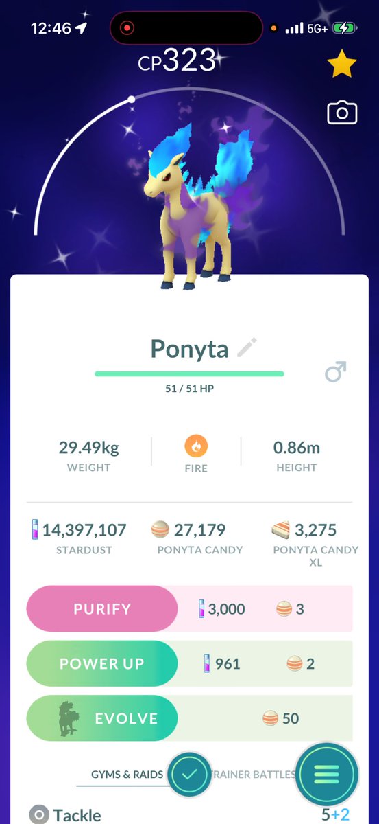 TonyTMPokemon1's tweet photo. WOW !!! This was a surprise !!! Shiny shadow Ponyta out of nowhere! Thank you grunts!!! Such a sick shiny!!! #PokemonGo #Pokemon https://t.co/JDbMu9gcfp