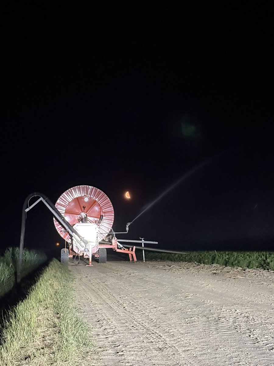 gerraldn's tweet photo. Daar gaan we weer 🥕🥕💦💦🧑🌾🧑🌾
#wortels #oogst #boer #watertekort #akker https://t.co/WUG4CXWyq1
