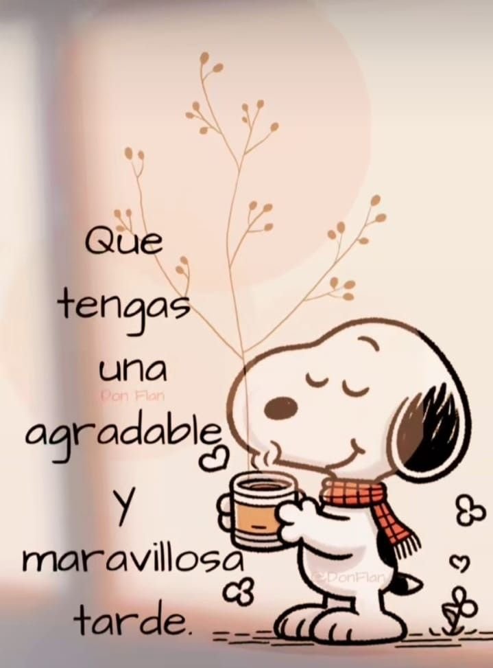 PPluis280919's tweet photo. Bonita tarde Eder, abrazo 🤗 🌧️☕
@Eder_Aguirre https://t.co/kUigWFtBk9