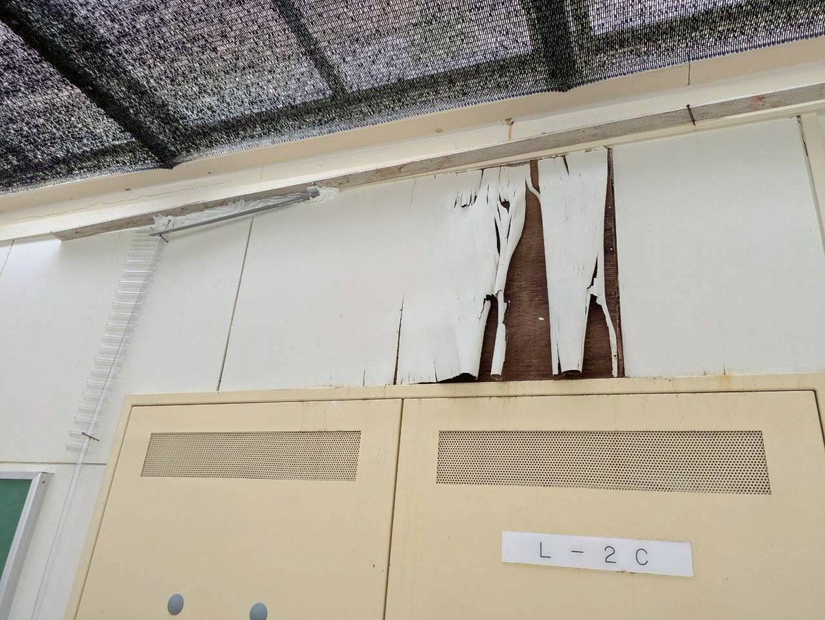 utsuhiro2011's tweet photo. 地元小学校の訪問を行いました。
小学生の皆さんの元気なあいさつ！とても、すがすがしく、立派ですね。
本校舎は、私が小学校1年生の時に新しくできた建物で、懐かしくもあり、また、古くもなってきております。老朽化対策と共に、環境整備について、今後も対策を講じて参りたいと思っております。 https://t.co/hbkZahL3Q7