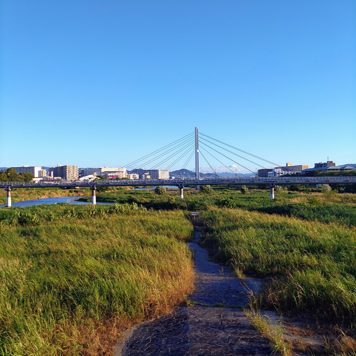 Tokucyan2's tweet photo. 🍃風が気持ちいい  夏のピークは過ぎたね(^^)秋？いやいや
#猪名川 #藻川 #walking #cycling #河川敷 #水道橋 #ラジオ体操 #六甲山 #箕面山麓 #五月山 #伊丹 #園田 #阪急園田駅 #農業公園 #神津大橋 #生駒山麓 #園田競馬場 #甲山 https://t.co/bTt98pK69b
