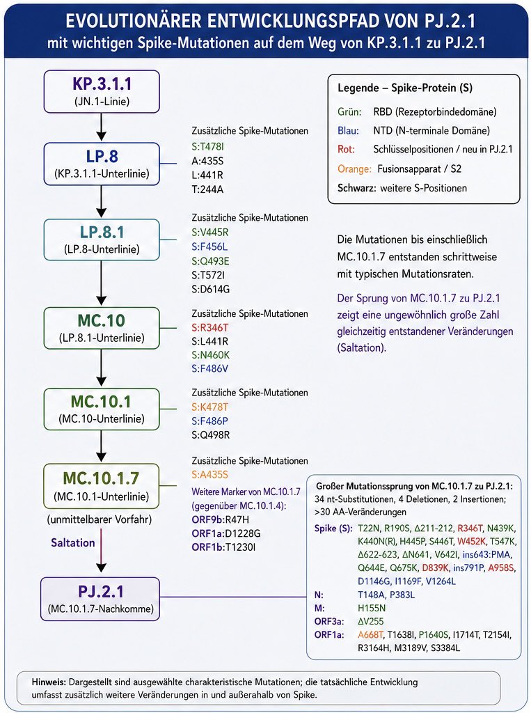 RWittenbrink tweet picture