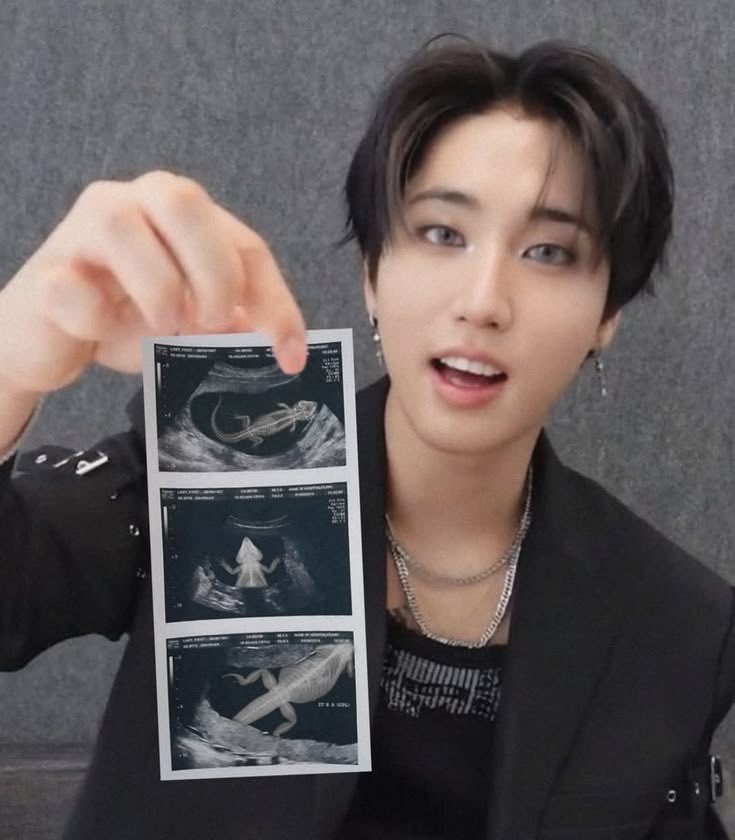foxxystay's tweet photo. Cancel the tour, Han is pregnant https://t.co/d3AXXfAGAF