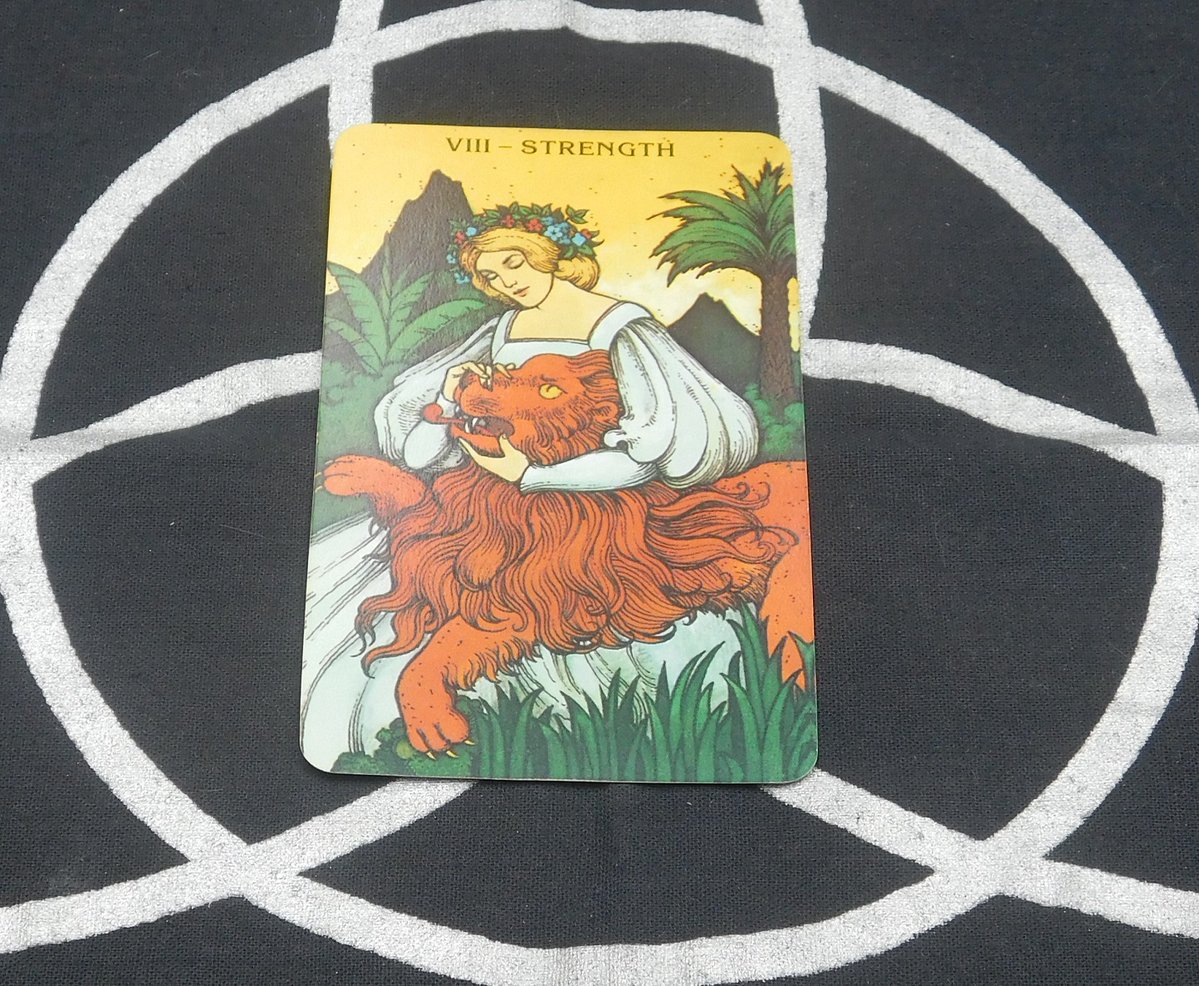revheydi's tweet photo. VIII The Strenght.  La Fuerza .
Rev Heydi Tarot . https://t.co/13I83UuhkN