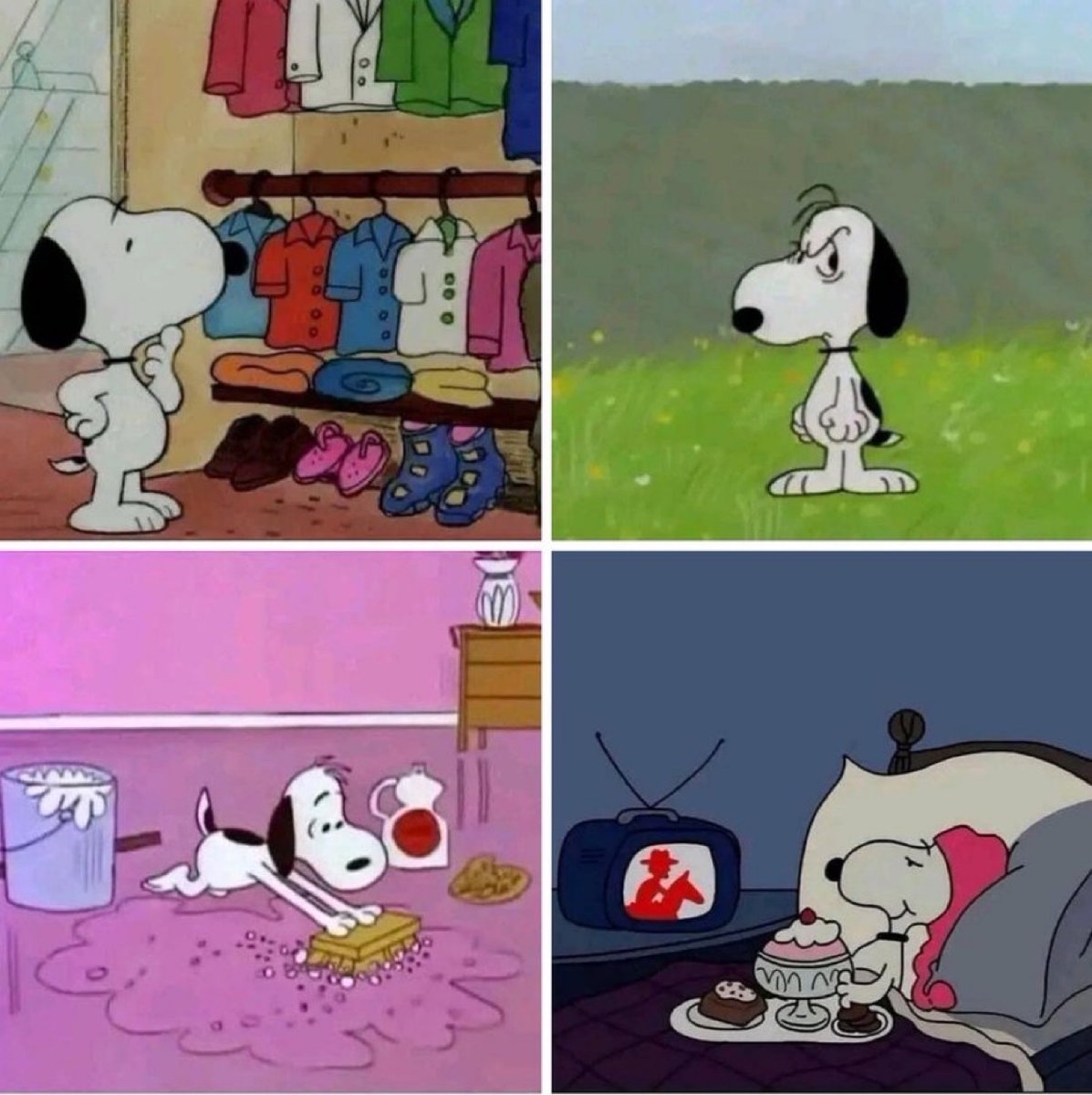 Guarromantico_'s tweet photo. “No puedes identificarte con Snoopy”

Yo: https://t.co/vYedklZtdP
