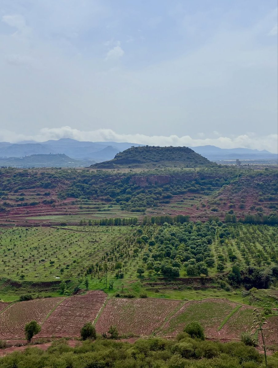 eri_id_'s tweet photo. Some inherit wealth. Others inherit a mission.

@gual_erey_ 
Yolian Ogbu inherited the unfinished duty of telling Eritrea's story with truth, dignity, and scholarship. She chose books where others chose silence, research where others spread distortion, and knowledge as her weapon.

A nation is not defended only by those who carried rifles. It is also defended by those who carry its history without compromise.

The revolution did not end with independence it lives wherever an Eritrean refuses to let others write Eritrea's story.

Grounded in history. Armed with knowledge. Guided by Eritrea. 🇪🇷

#Eritrea #NeverKneel #EritreanYouth #SelfReliance #Hidri #EriDiaspora
