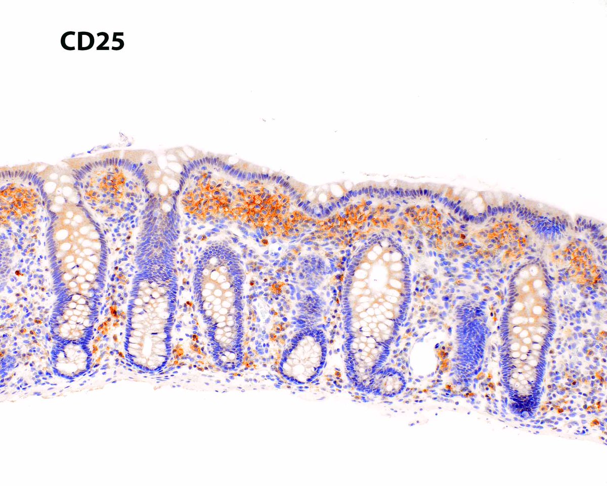 ModernPathology tweet picture