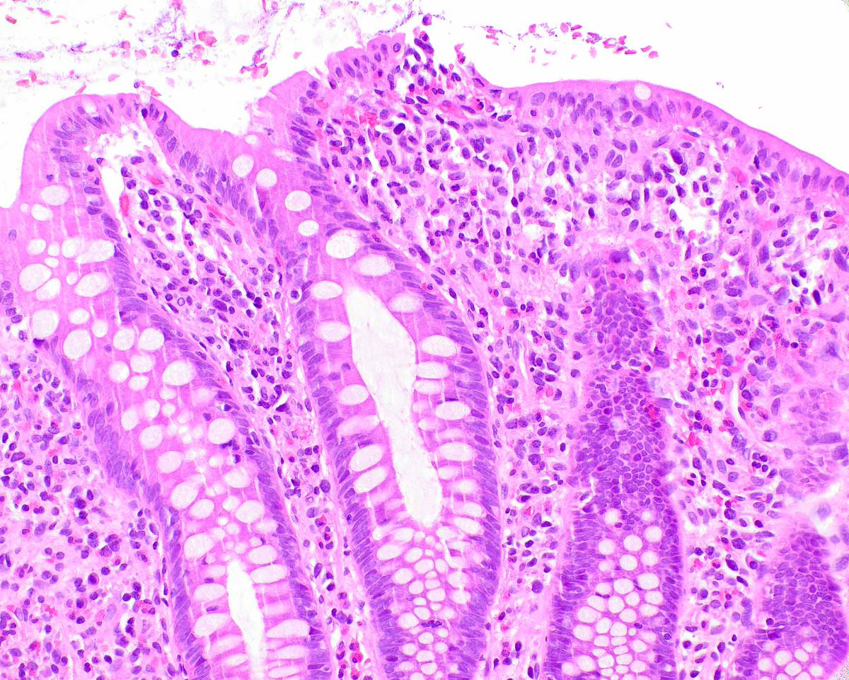 ModernPathology tweet picture