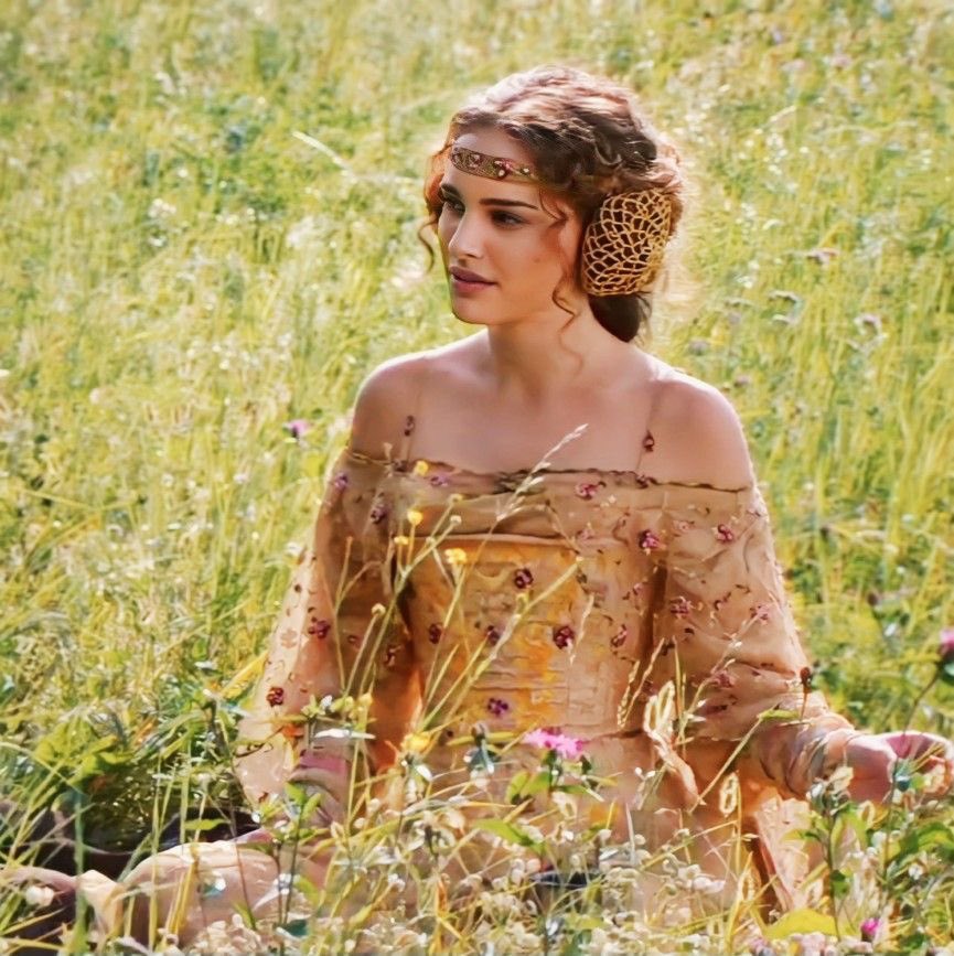 AngelixArchives's tweet photo. — ᨳଓ Elia as Padme is the sweetest concept, so such beautiful art ☺️ https://t.co/ub9jmaRo6D