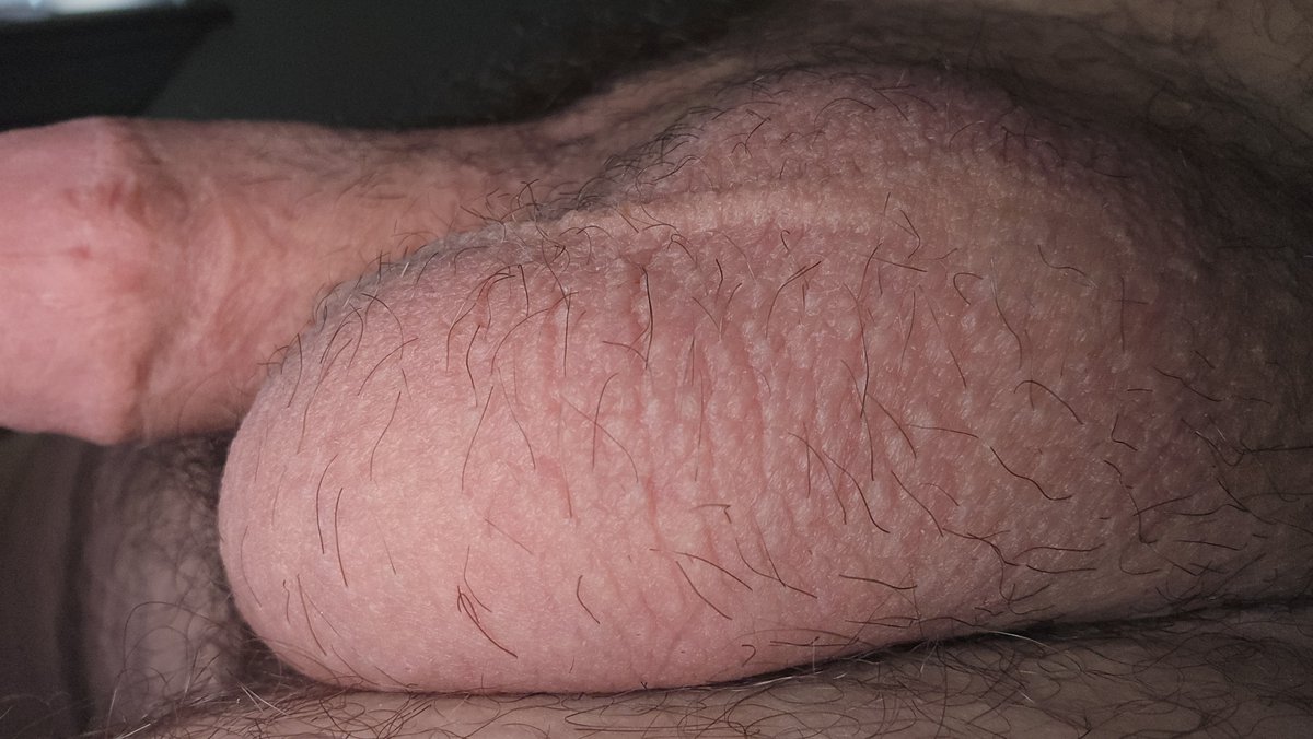 KepploTheWolfAD's tweet photo. Someone help~~ my balls are so fullll~ I'm getting pre everywhere oh nooo ❤️ https://t.co/22kT6KYHHb