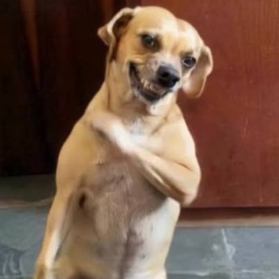 idk_acr's tweet photo. #NewProfilePic https://t.co/fZHOcybSMw