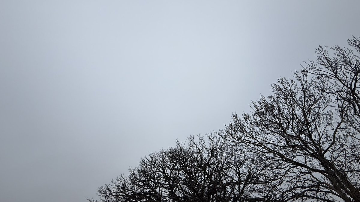 wapple15's tweet photo. Good morning #Canberra with 1 shade of grey & a splash of yellow. ☁️☁️ #SureHappyItsThursday https://t.co/4pYJOlHg0I