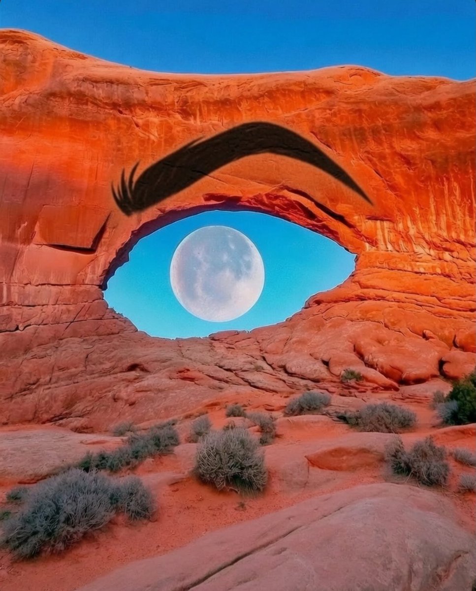 FollowThePaulo's tweet photo. The Rock's Eye-brow https://t.co/4b4DeYF4V9