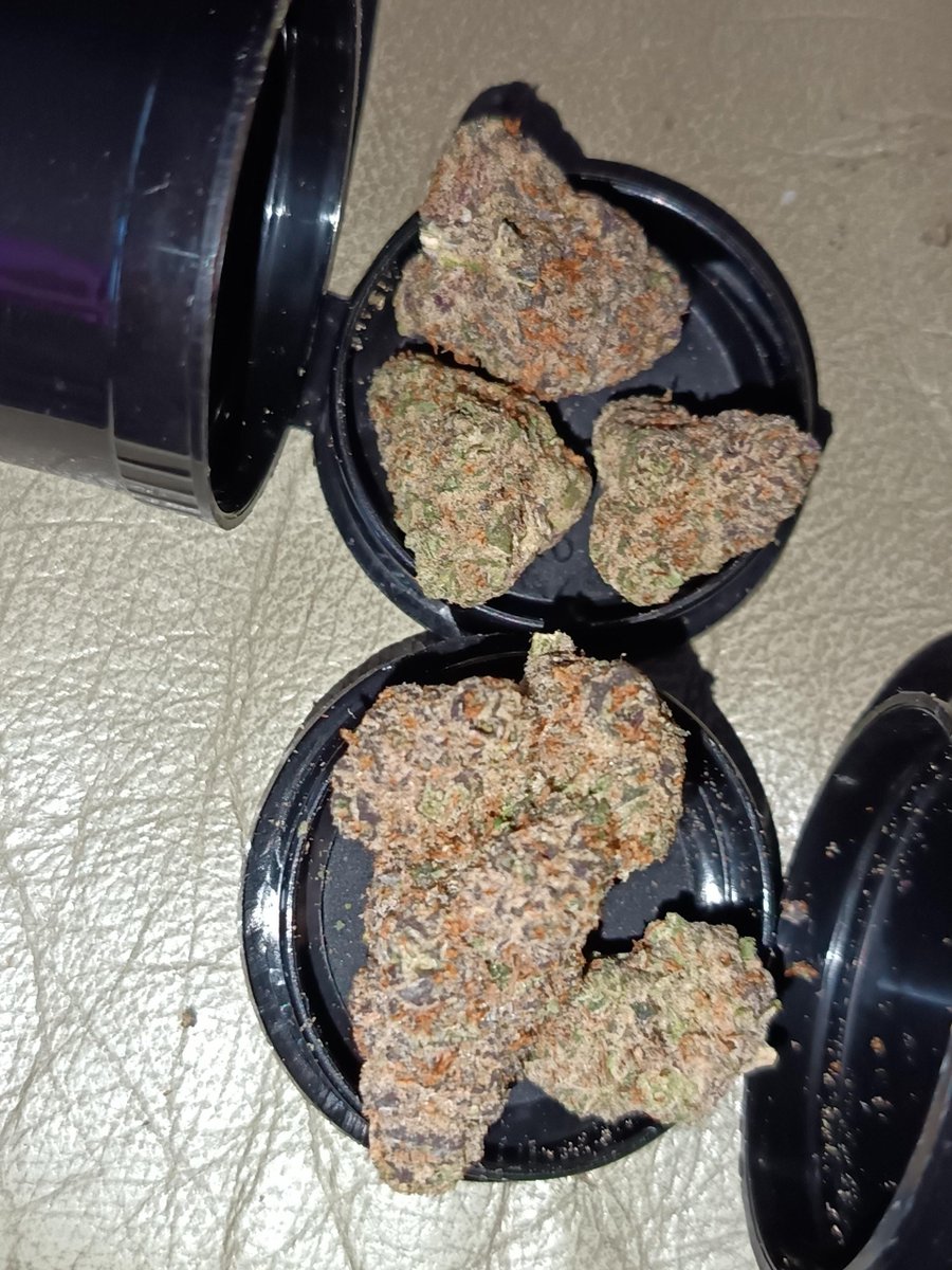 ghostarms85123's tweet photo. Top shelf cannabis #exotics 

🔗🔗👇
https://t.co/4v5nPKbMm3

#Tallahassee plug 
 Fresh zaza gas ⛽ loud exotic weed plug shrooms 🍄 bulk Lafayette 337 Shreveport 318 DM plug 📍👇 Comment city #Lafayette #Shreveport #SouthSouthernUSA420 Fort Lauderdale  Tallahassee weed Slidell https://t.co/sKuN6mBkhA