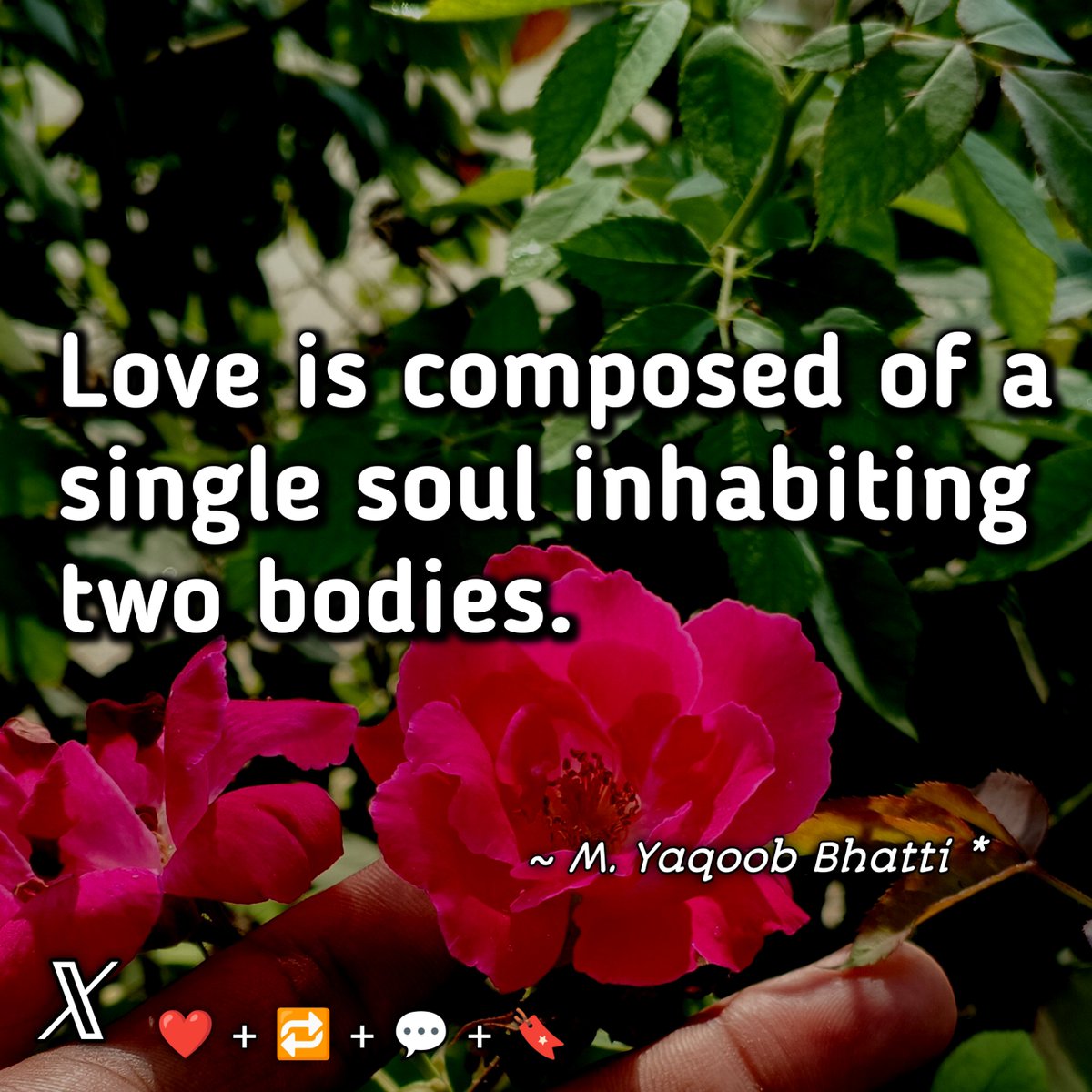 MYaqoobHere's tweet photo. Love ✨❤️ https://t.co/M5FKd07NCx