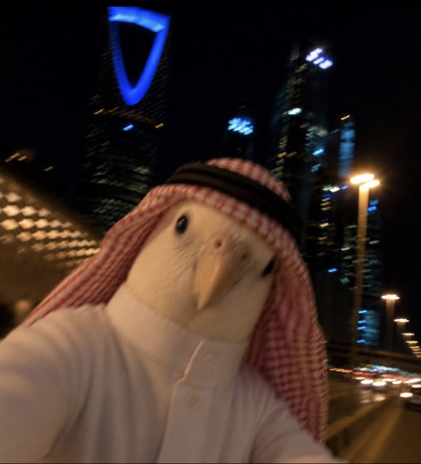 shuu7ui's tweet photo. طالع راعي جداول 🐣 🐥 https://t.co/LSmVd351BS