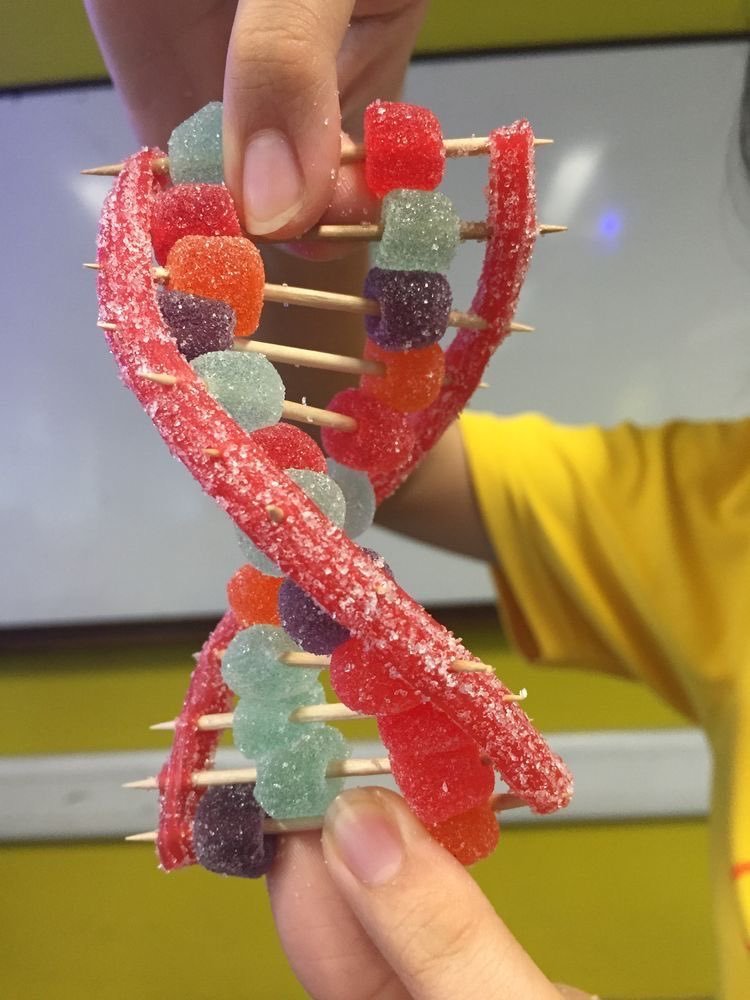 ElyfaeFeelings_'s tweet photo. so creative 🧬 https://t.co/O7zwElSx6S