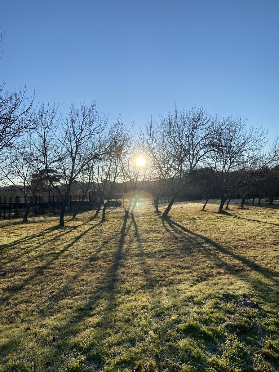 wapple15's tweet photo. 5 years ago today it was a much more pleasant morning in #Canberra ❄️☀️#ThrowbackThursday including wintertime #FocusGames https://t.co/K8FoaLb1Ir