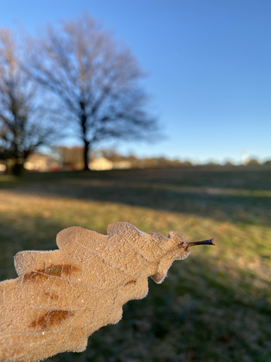 wapple15's tweet photo. 5 years ago today it was a much more pleasant morning in #Canberra ❄️☀️#ThrowbackThursday including wintertime #FocusGames https://t.co/K8FoaLb1Ir