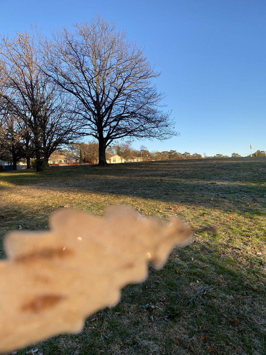 wapple15's tweet photo. 5 years ago today it was a much more pleasant morning in #Canberra ❄️☀️#ThrowbackThursday including wintertime #FocusGames https://t.co/K8FoaLb1Ir