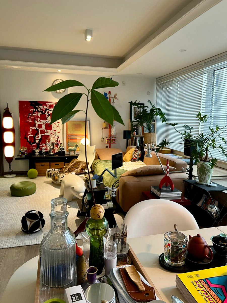 pato_chip1's tweet photo. 窝在阳台晒着暖阳，边啃冰西瓜边刷剧，这才是周末该有的打开方式～， https://t.co/MT6RkDqaWn