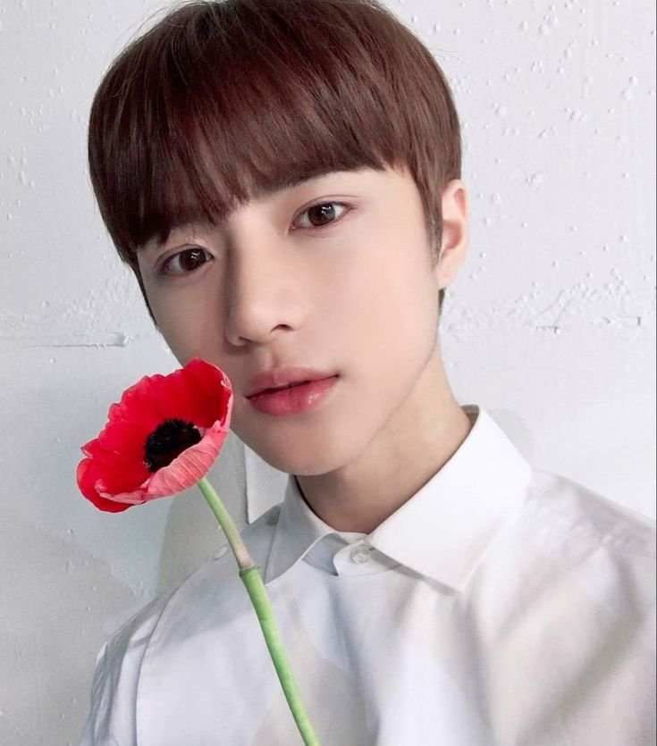 xseungminism's tweet photo. Day 8 ♡ looking 4 interactive moots!!
#kpoptwt #stantwt 
—
❀ ults: skz, and2ble, zb1
❀  any fandom is welcome
❀ 18, 🇨🇳🇸🇪, she/her 
❀ dni: basic dni, -14 or 25+, edtwt, shtwt etc 

꒰ᐢ. .ᐢ꒱ check my carrd: https://t.co/pSGFL6eHCU

  ♡ / ↺ = moots https://t.co/0TiQg04OPQ