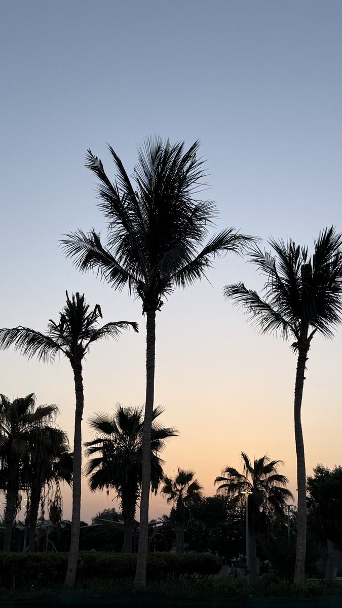 llMSll7's tweet photo. 🌅 https://t.co/nciEySVmJW