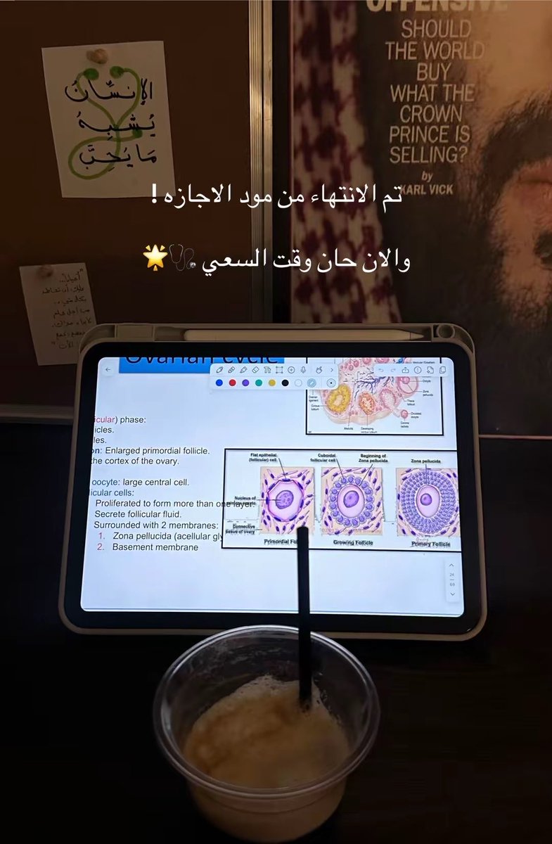 dktwrh74814's tweet photo. اخ توني استوعب ان الدوامات قربت
يادوب اصحي مخي من سباته

لكن سيتم جلد البلوكاتتت🙂‍↕️🤙🏻 https://t.co/pvJn6SmQws