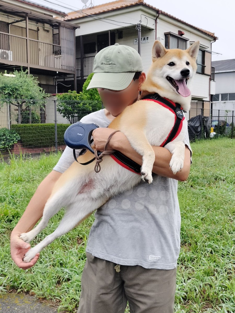 E1C2G07OHz39365's tweet photo. 帰りましょう https://t.co/wcnwmP3QDP