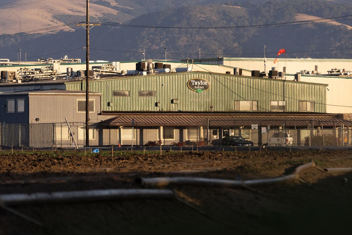 SFGate's tweet photo. Taylor Farms says ex-president committed $32M fraud, including UC Berkeley gift https://t.co/r22xG2MoFp https://t.co/5wqngqdAgN