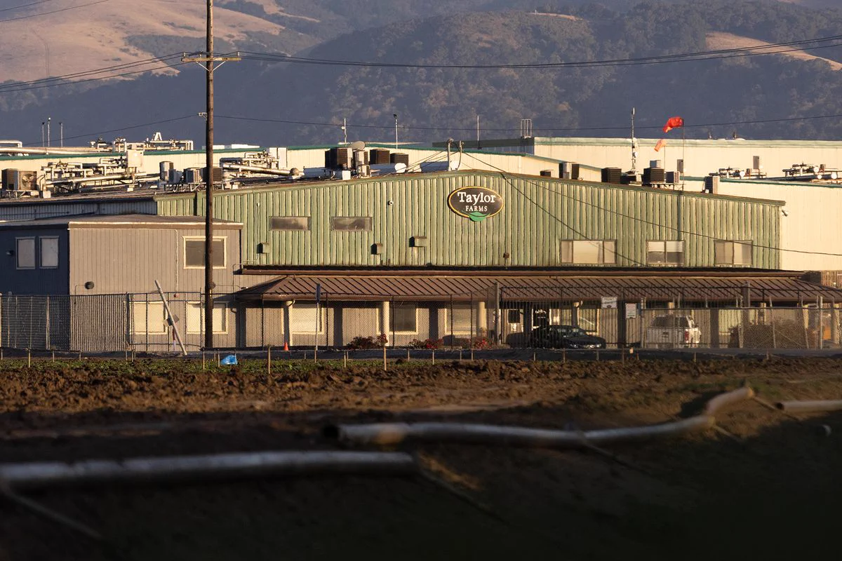 Taylor Farms says ex-president committed $32M fraud, including UC Berkeley gift